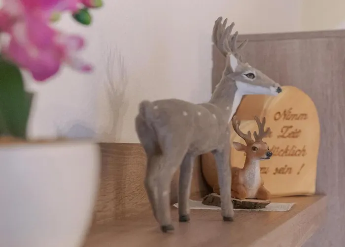 公寓 Haus Stern 施图拜河谷新施蒂夫特